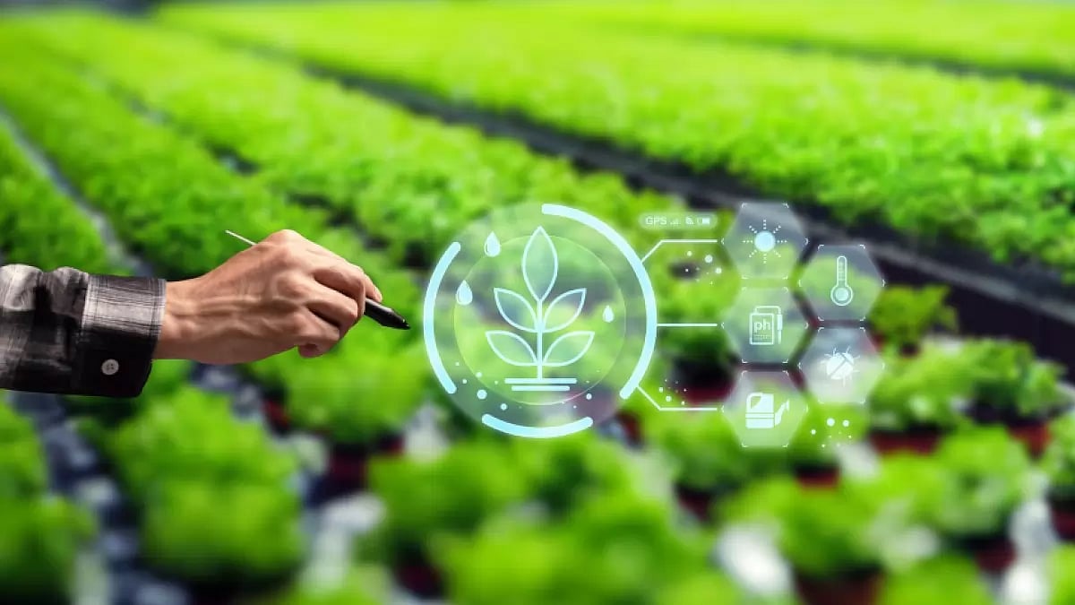 Egyptian Students Develop Robot and App to Revolutionize Agriculture