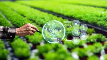 Egyptian Students Develop Robot and App to Revolutionize Agriculture