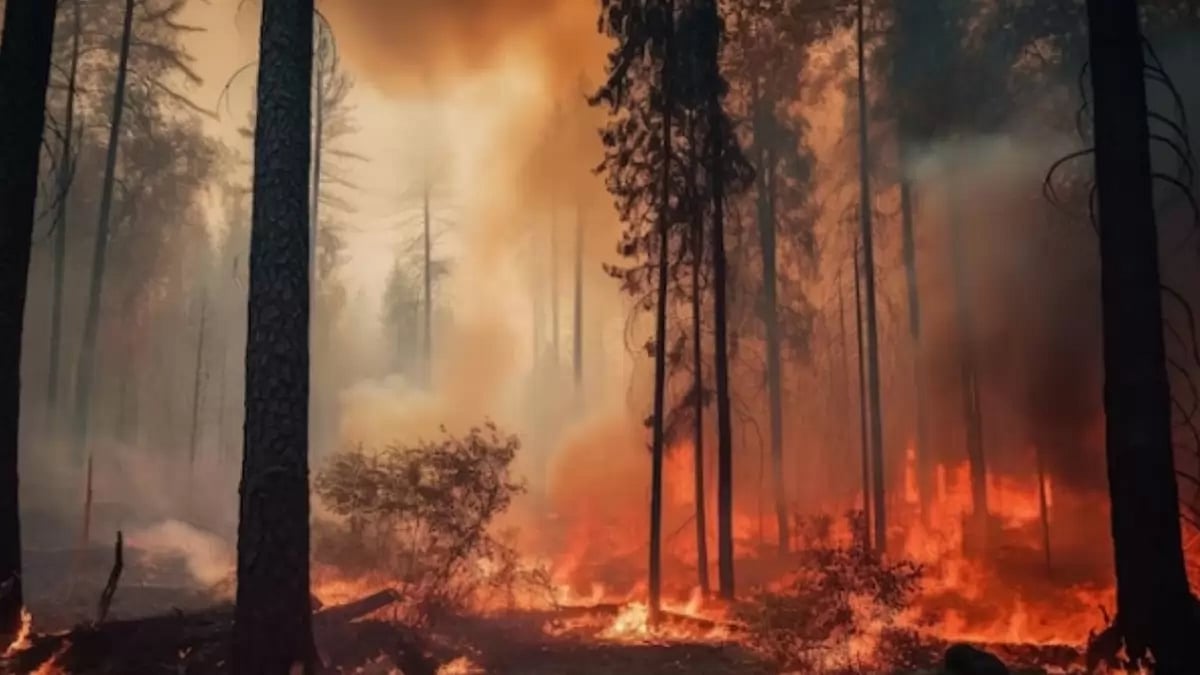 A representational image of wildfire 