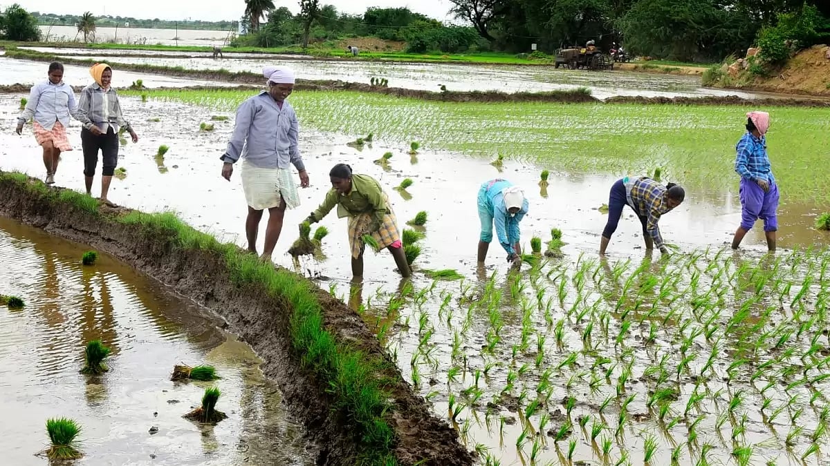 Telangana Has Become Annapurna For The Country