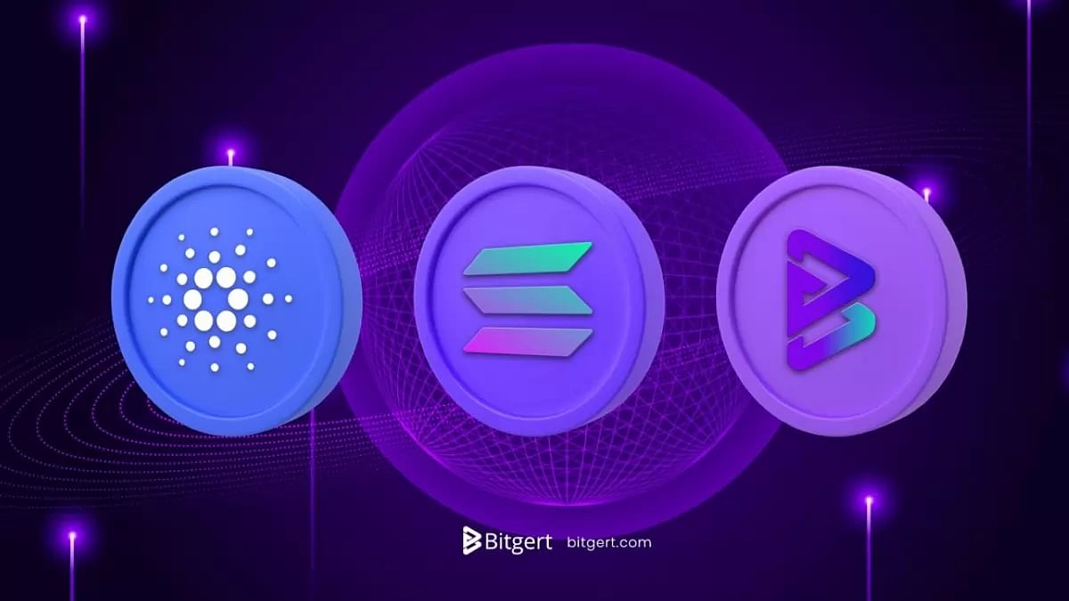 Cardano, Solana, Bitgert