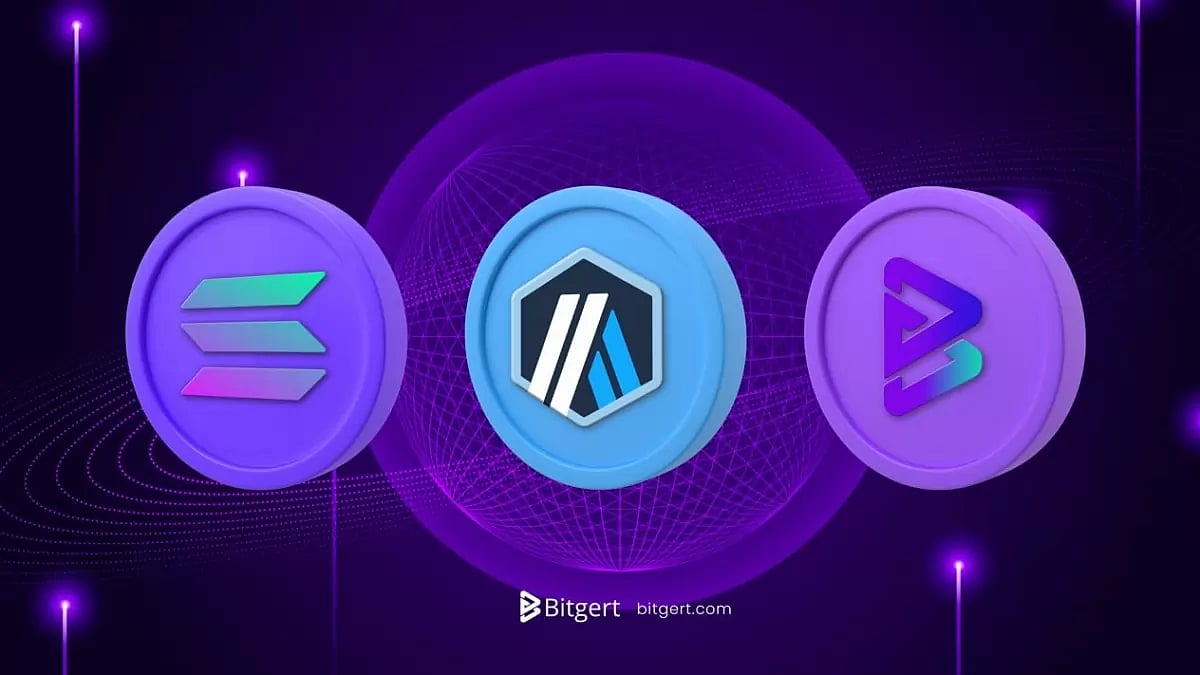 Solana, Arbitrum, Bitgert