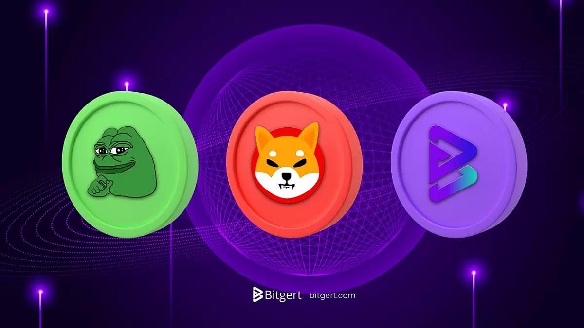 PEPE Coin, Shiba inu, Bitgert