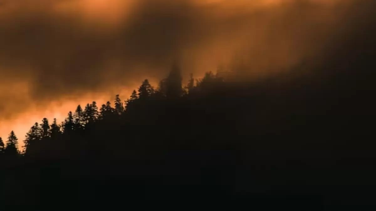 Maui Wildfire wreak havoc