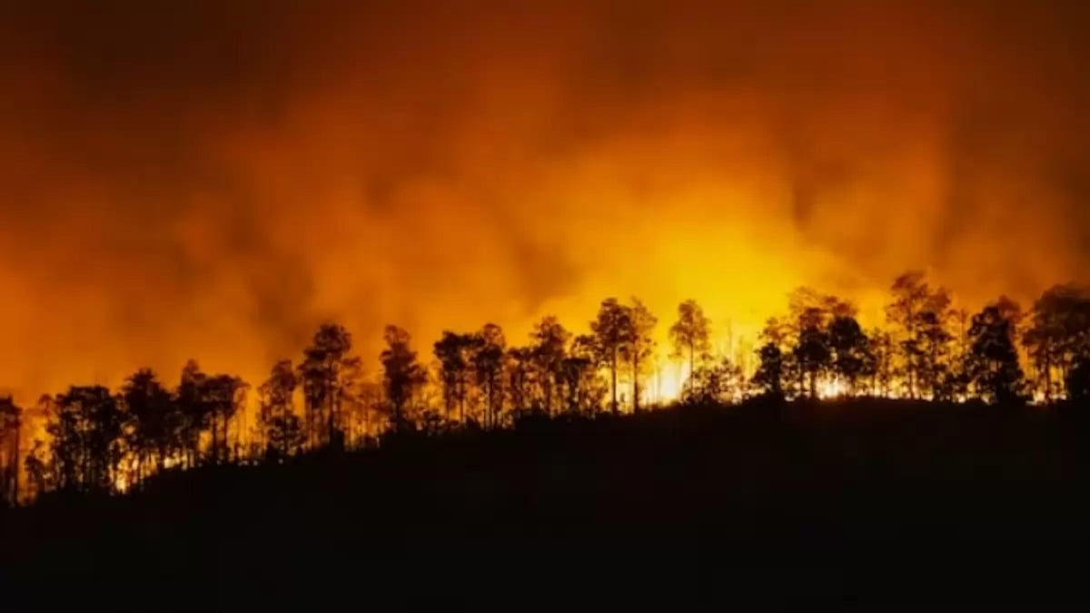 Lessons Learned from Hawaii’s Wildfire