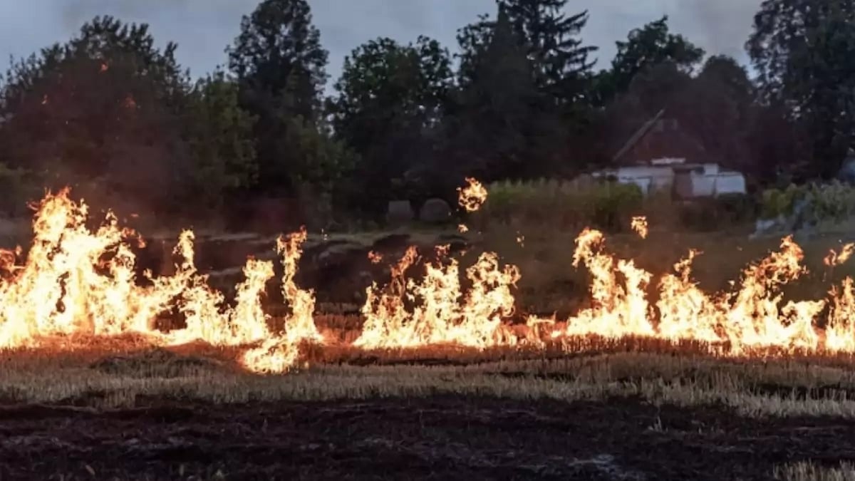 How did the Maui fires start and why are they still burning