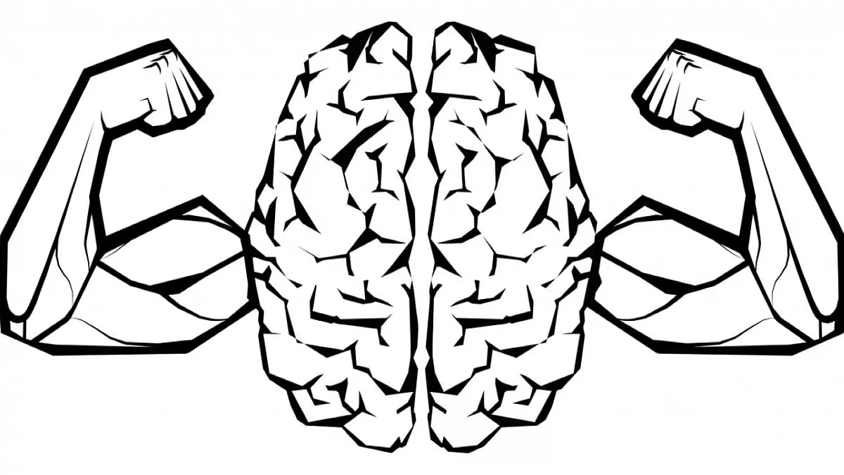 Best Nootropics 2023 For Memory, Learning Attention And Many Books