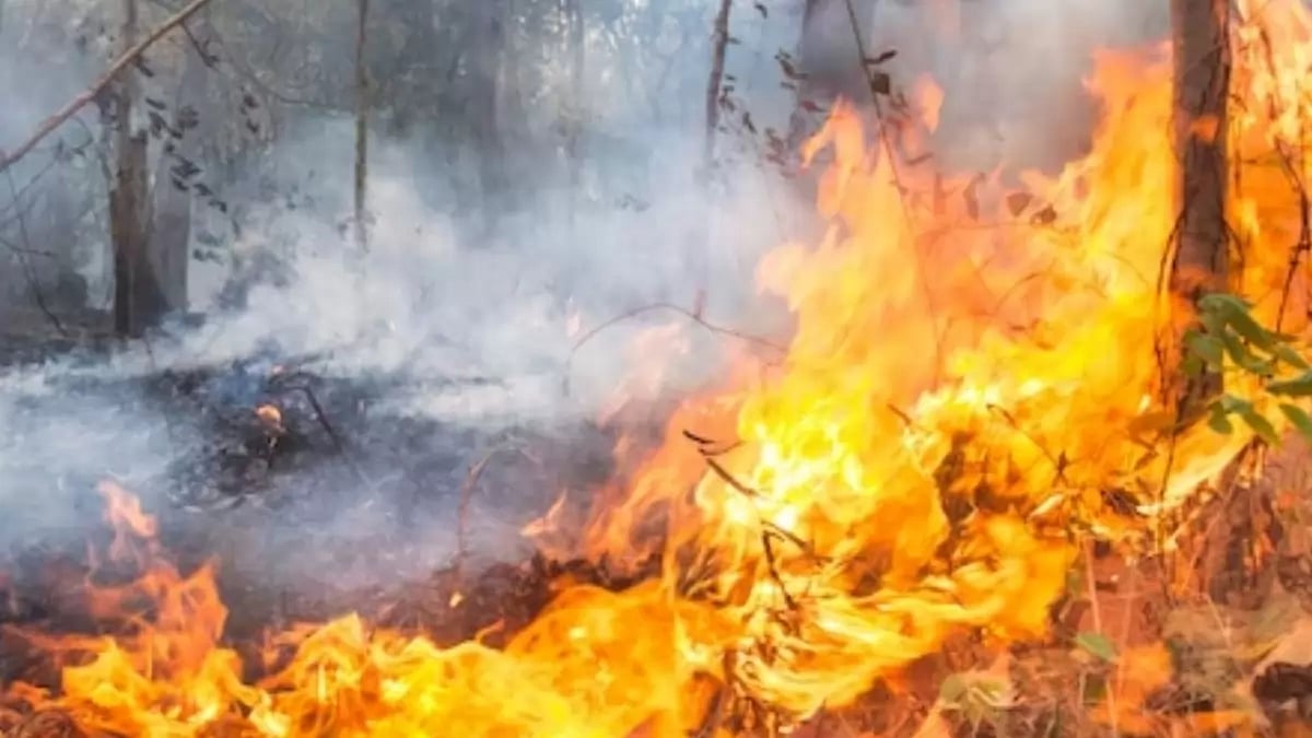 Governor of Hawaii Promises to rebuilt Island for its People