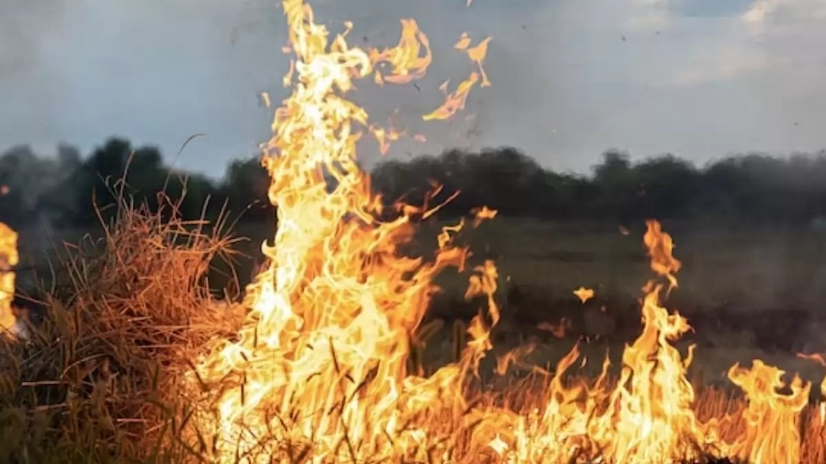 Top deadliest wildfires in US history