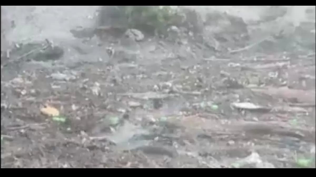 10 people stuck in Kol Dam reservoir in Mandi, Himachal Pradesh were rescued.