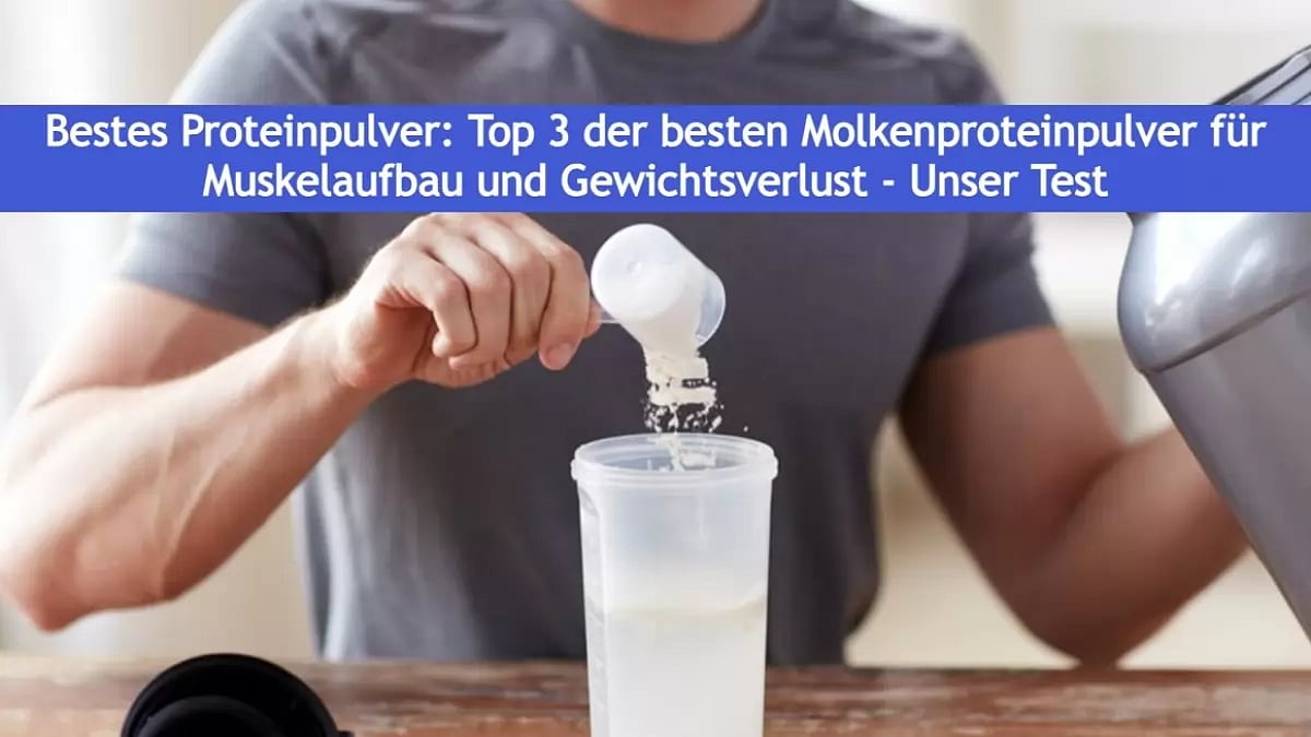 Bestes Proteinpulver