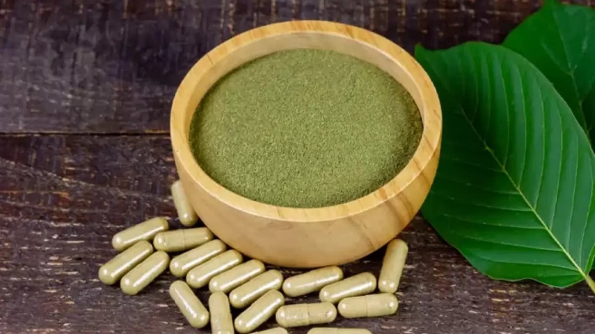 5 Best Kratom Vendors To Buy Kratom Online
