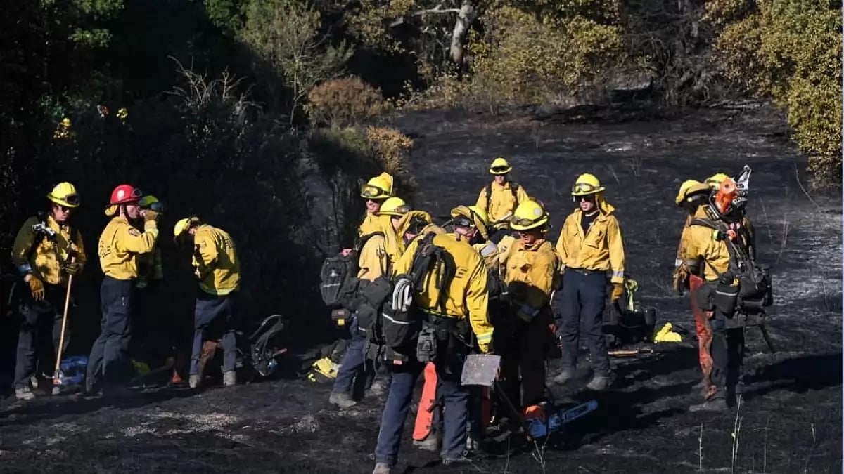 California Firefighters