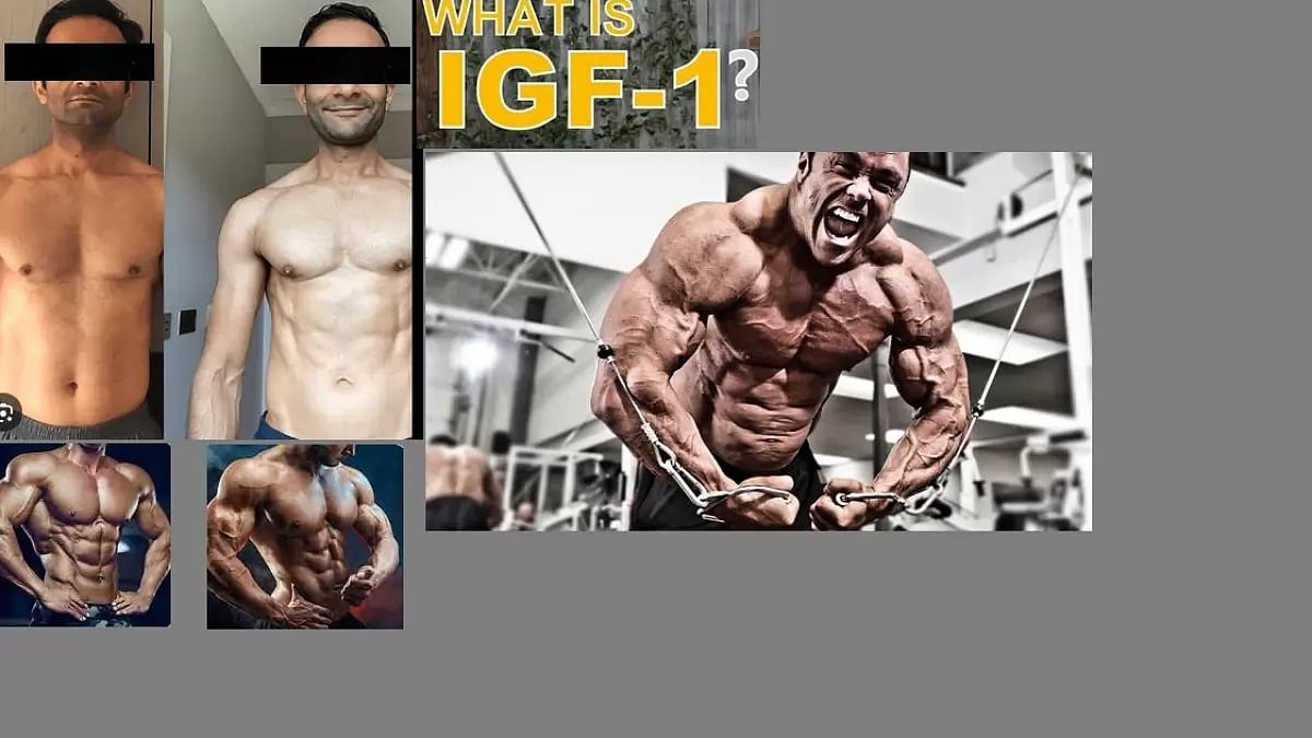 IGF-1 Supplements
