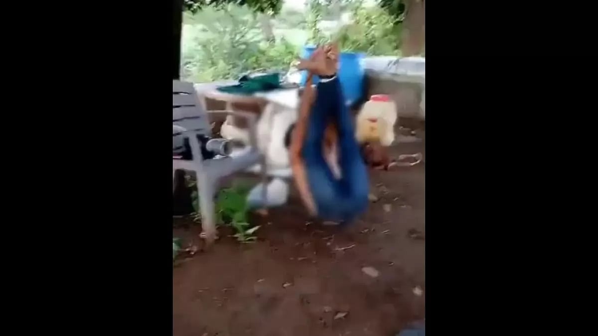 Sreengrab from video