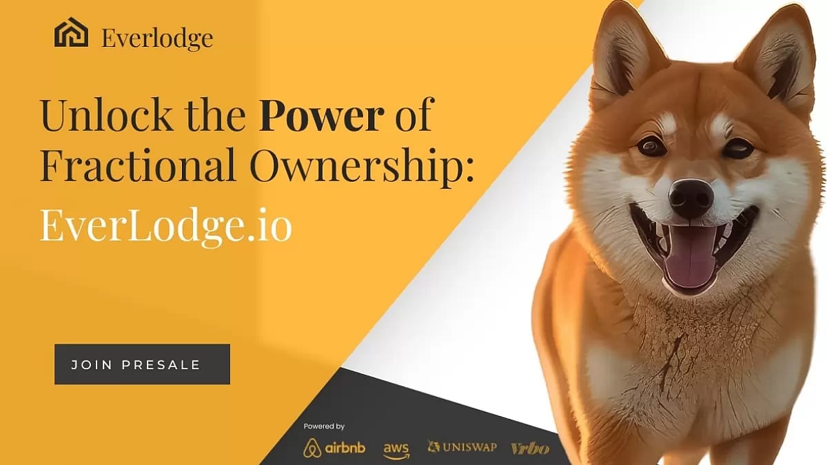 Experts Are Bullish on Shiba Inu, Dogecoin, and Everlodge