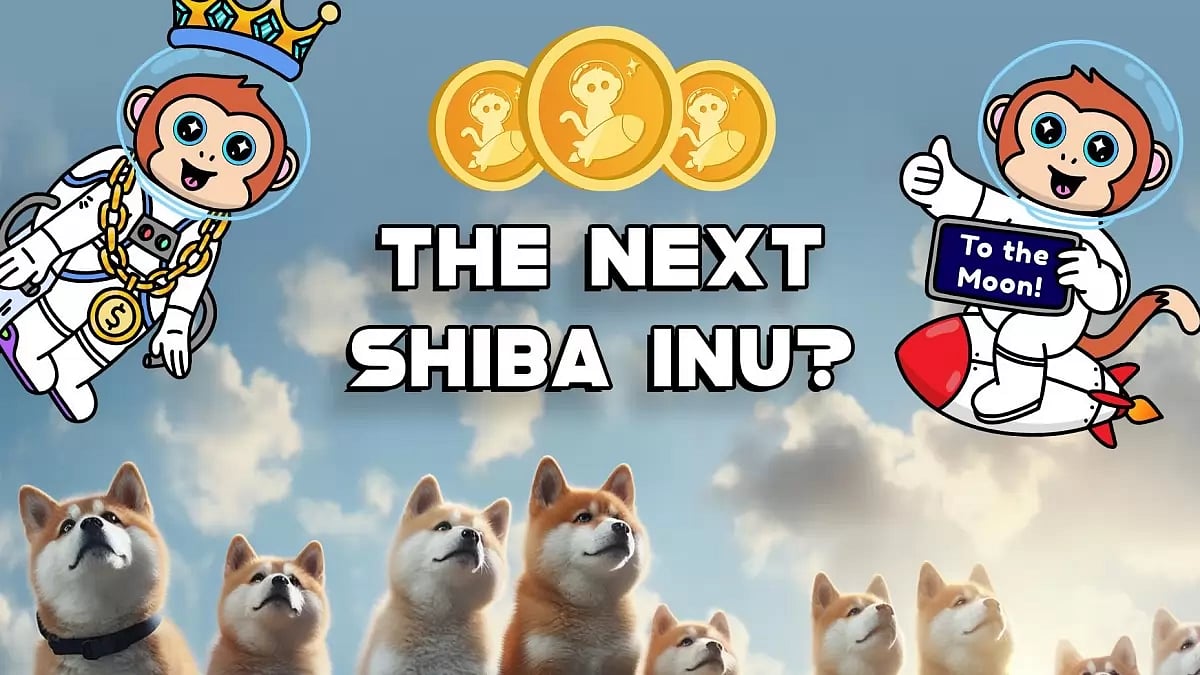 the Next Shiba Inu
