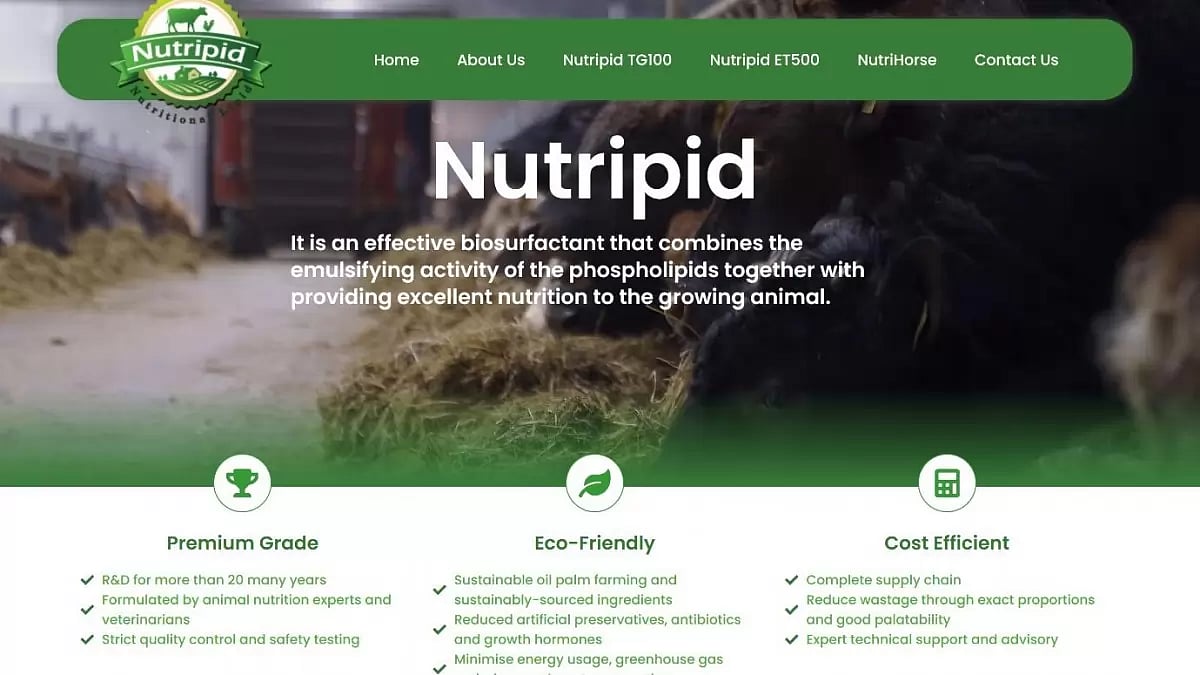 Top Rumen Bypass Fat Brands – Nutripid, Megalac, Berg + Schmidt 