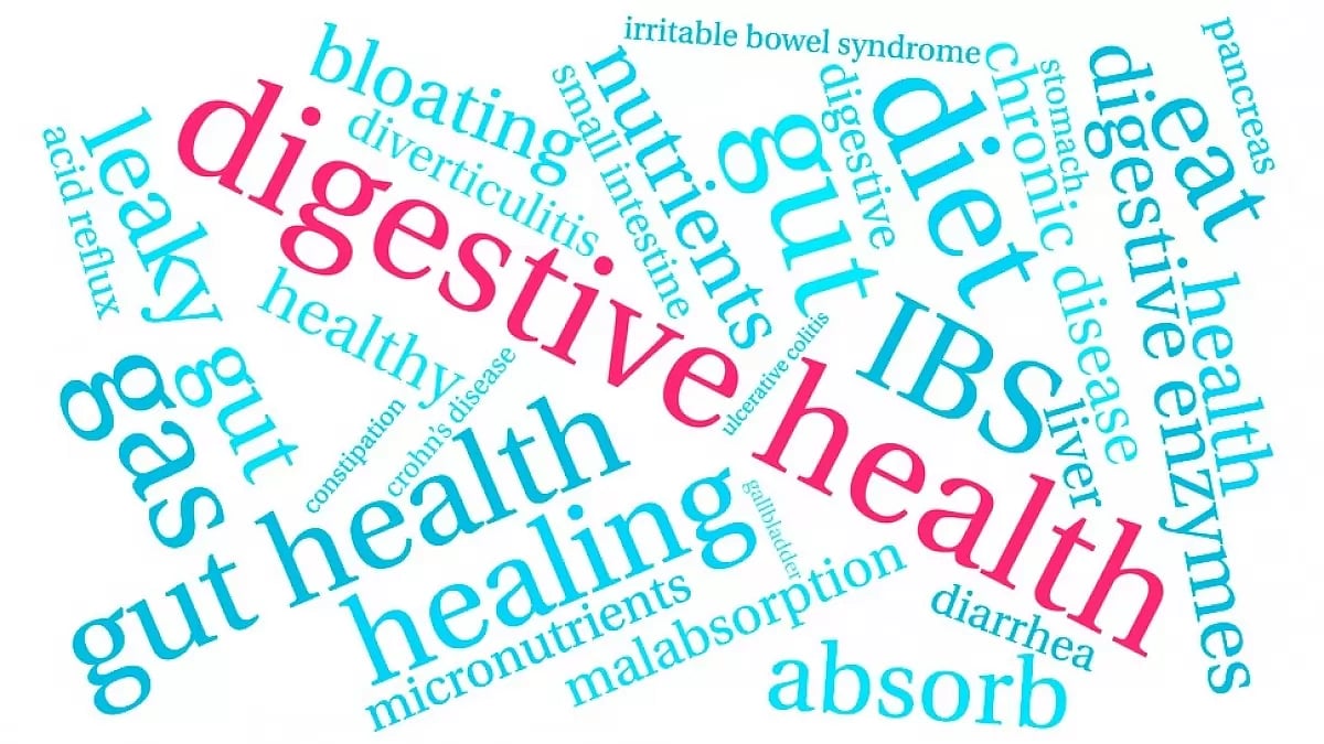 Best Super Greens Powder For Gut Health & Bloating