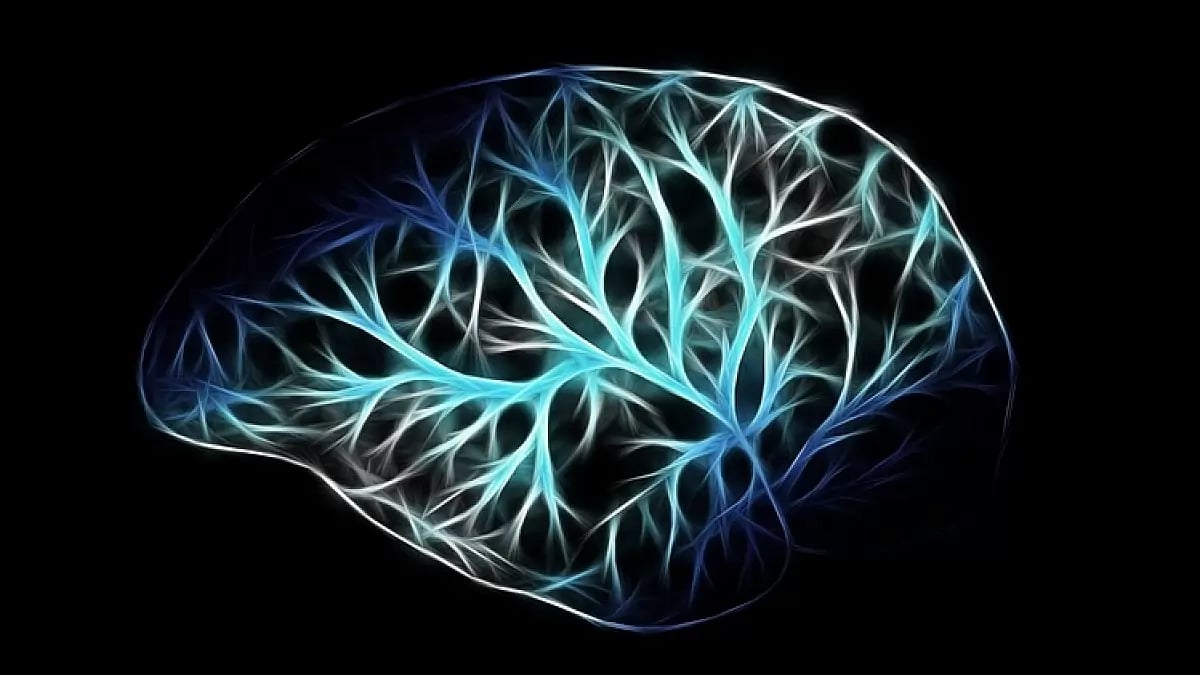  Best Brain Supplements