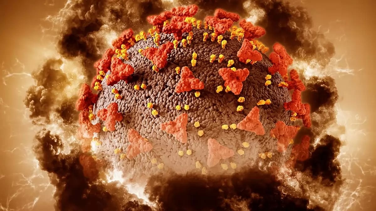 Flesh eating bacteria