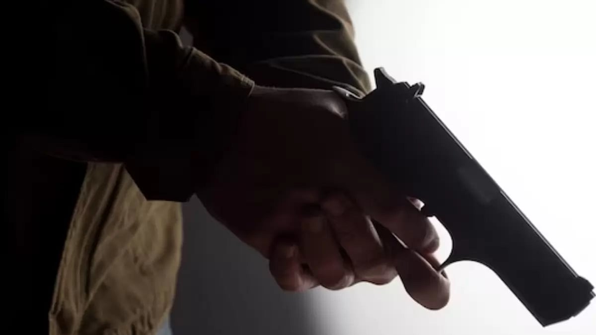 Federal Judge Blocks California Law That Would Have Banned Carrying Firearms In Most Public Places (Representational Image)