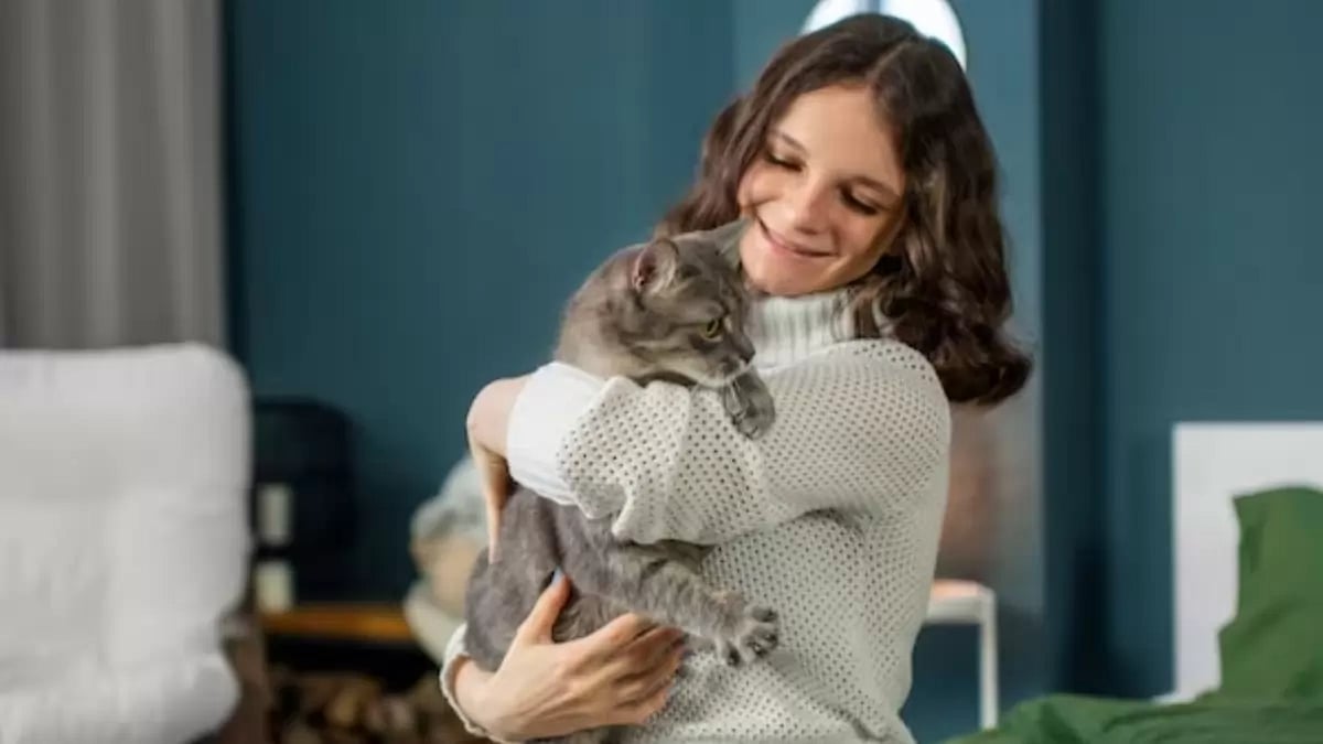 Cat-Sitting Business (Representational Image)