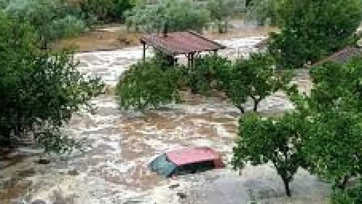 Representational Image