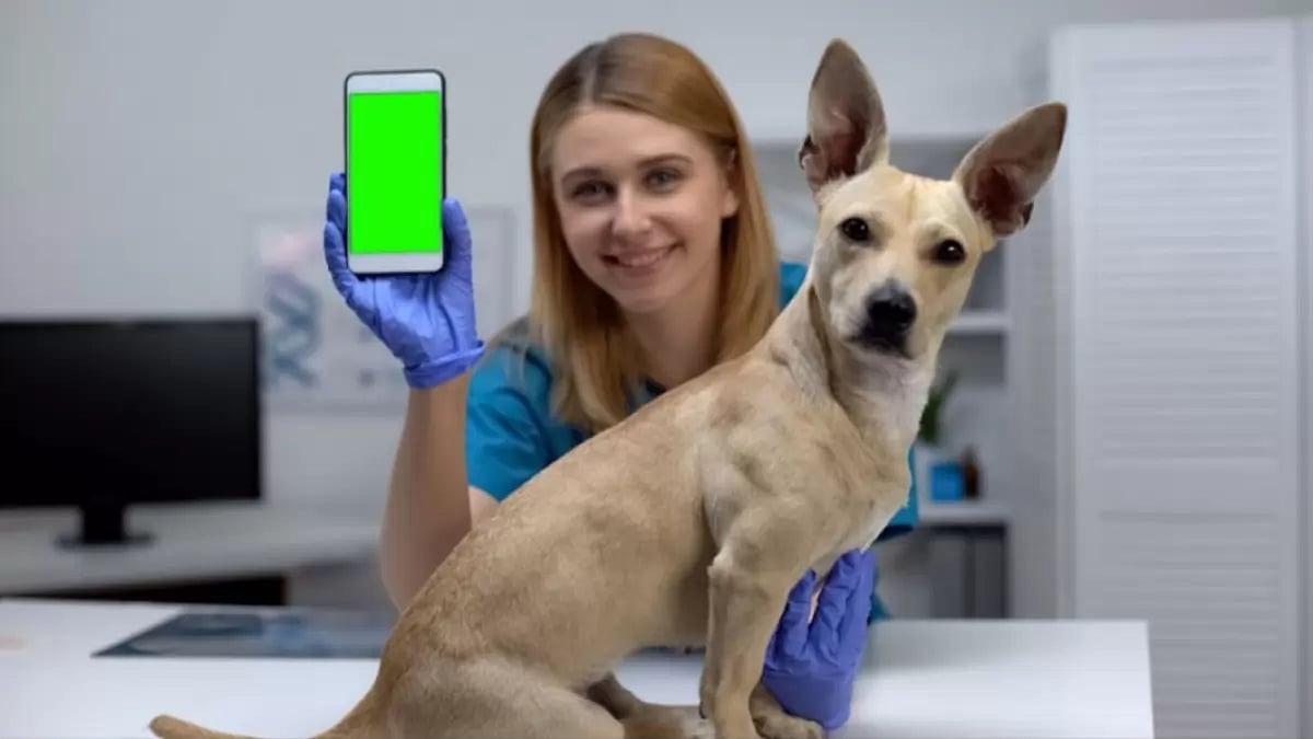  Telehealth in US pet care