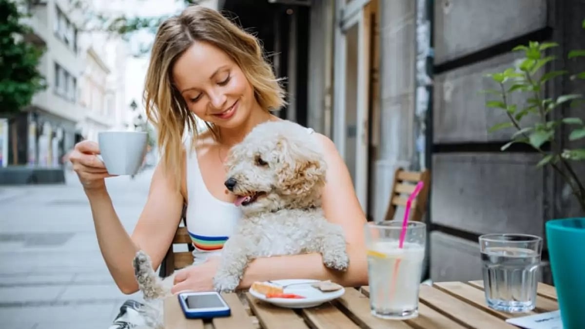  Pet-friendly travel destinations in the USA