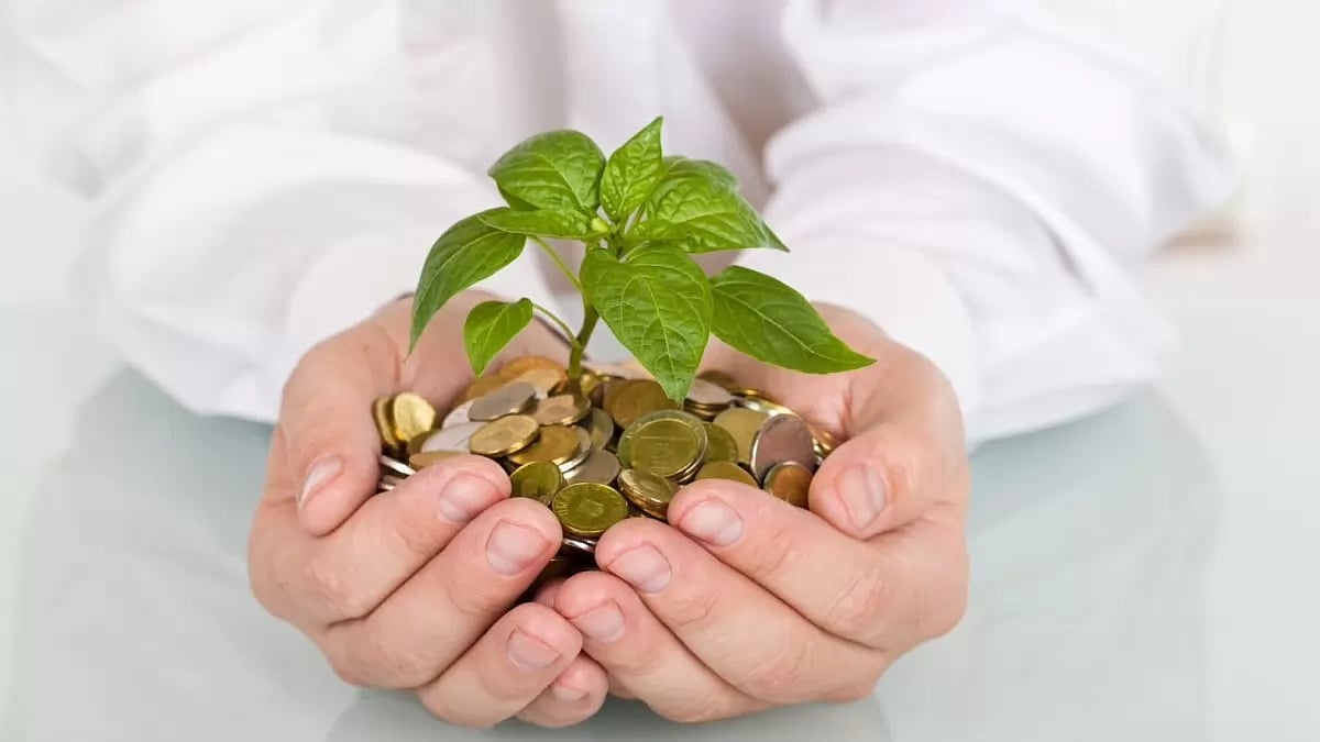 Best High-Interest Savings Accounts