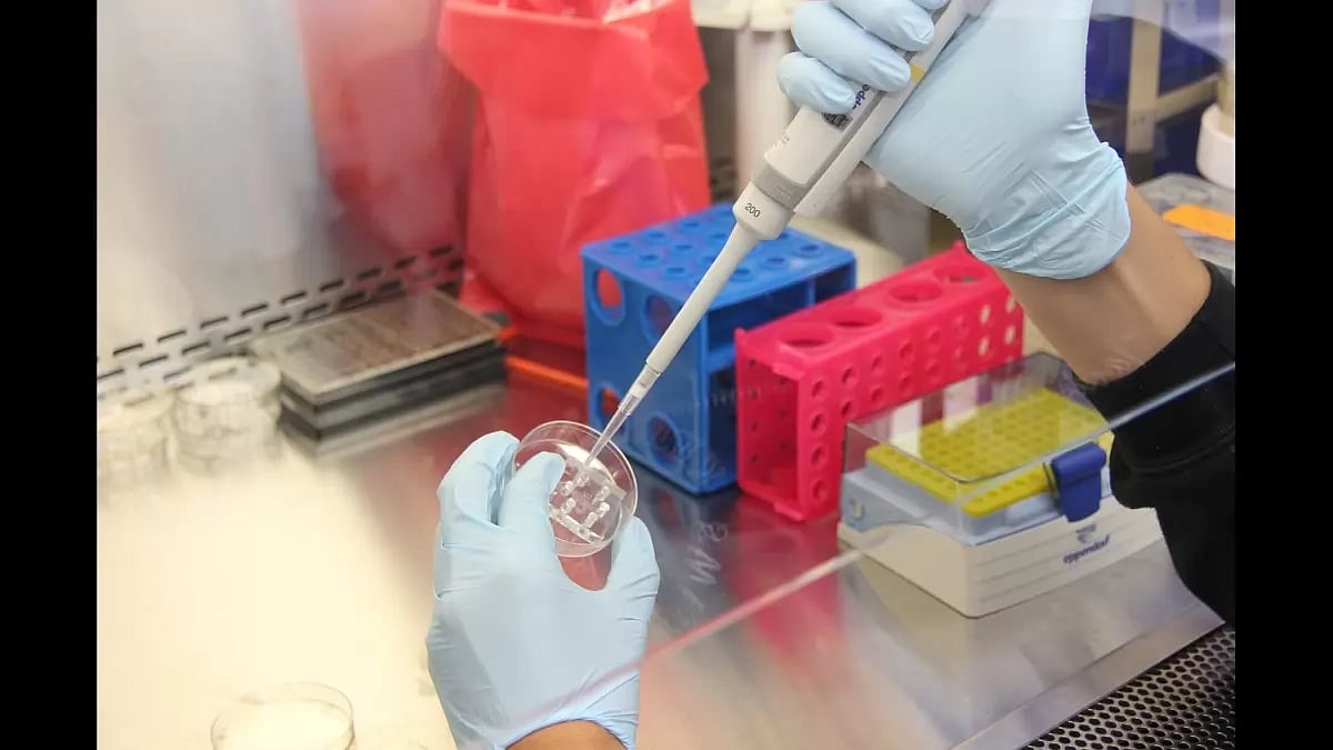 Immune Response And The Livagen Peptide