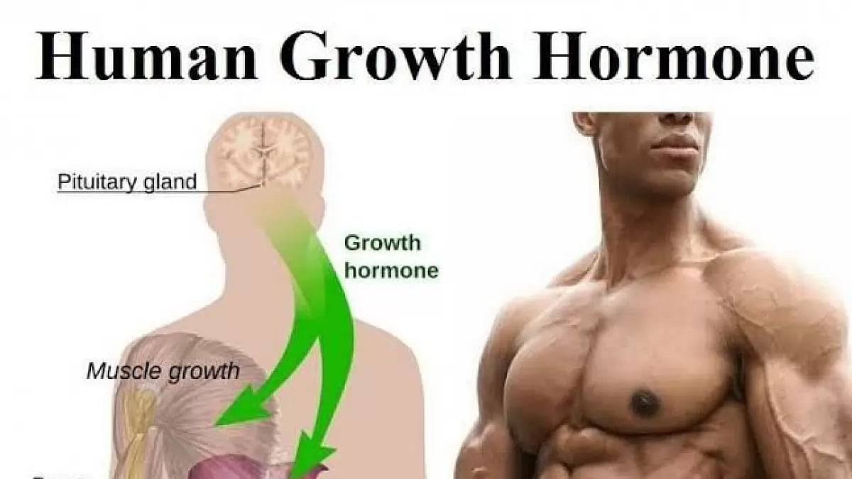 Buy Human Growth Hormone (HGH)