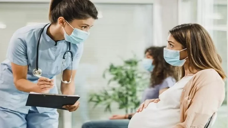 A nurse taking notes from a pregnant woman - null