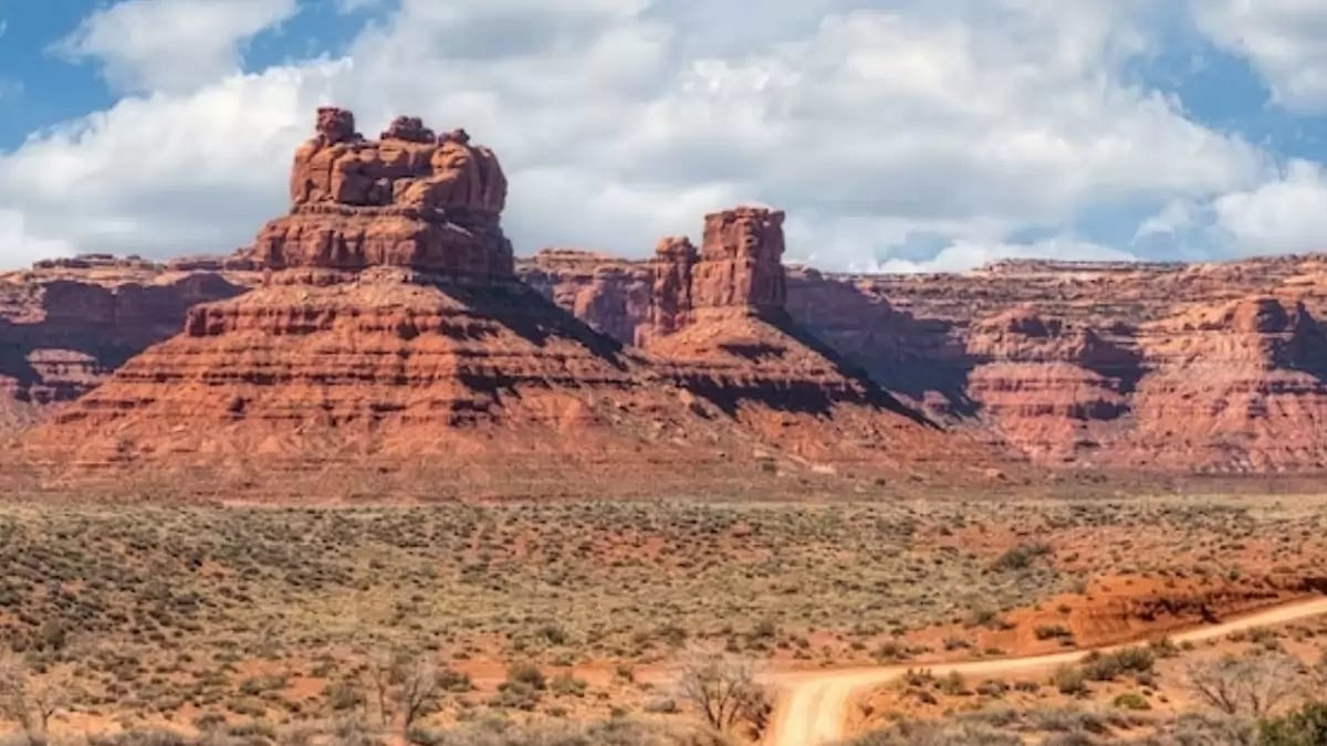  A Picture of the Grand Canyon 