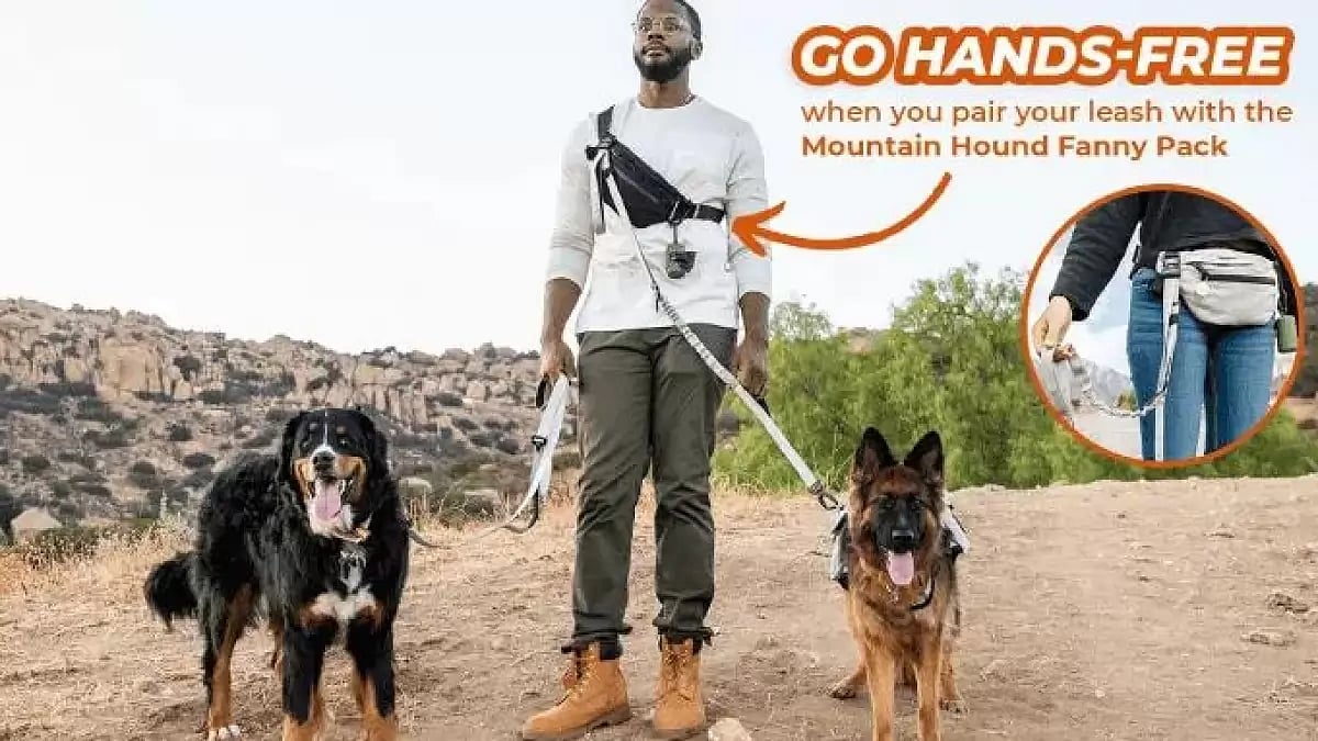 Mountain Hound Bungee Leash Reviews 