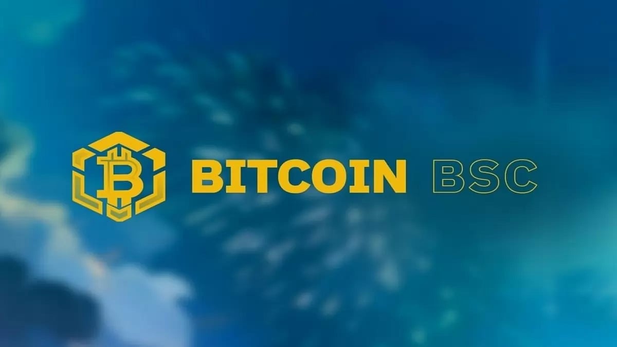 Bitcoin Alternative Set to Rise 300x in 2023