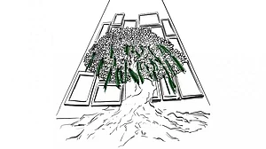 Illustration: Chaitanya Rukumpur