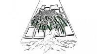 Illustration: Chaitanya Rukumpur