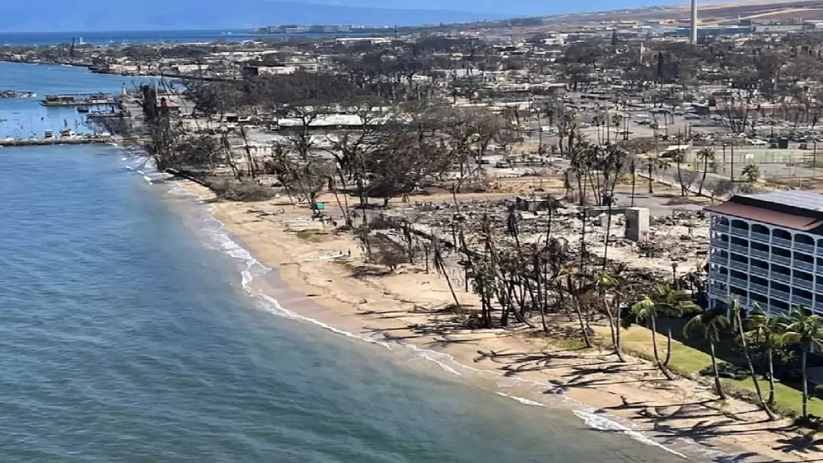 Photo from Maui after fire devastation.