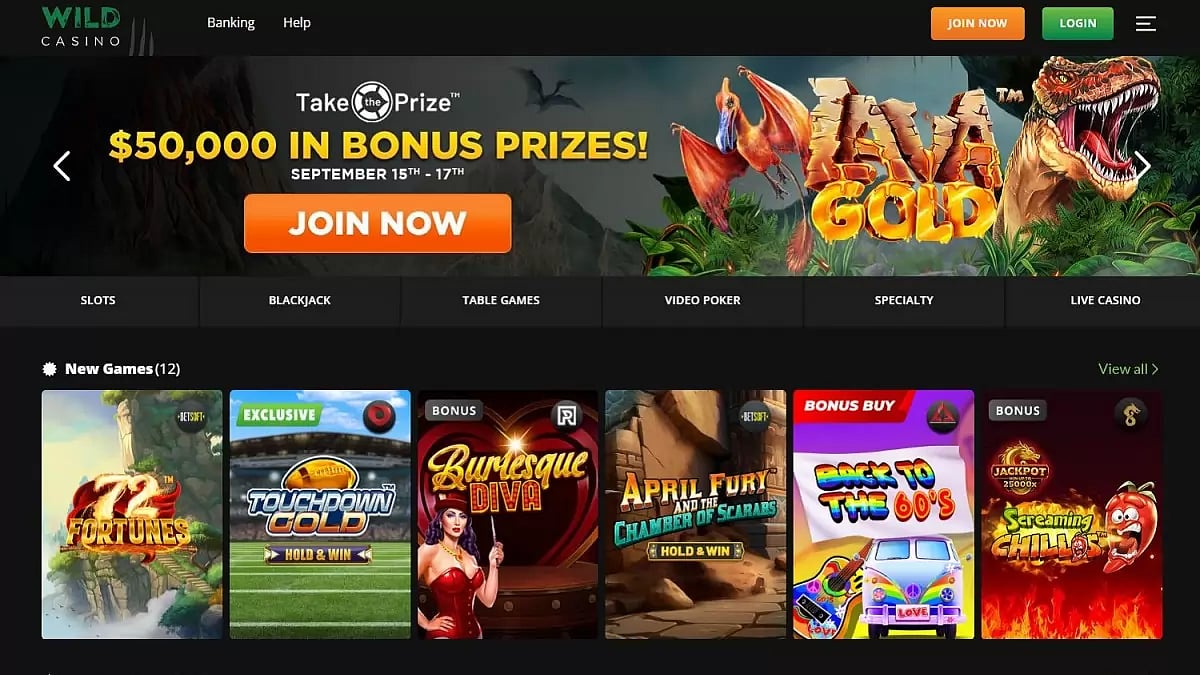 Wild Casino Review USA 