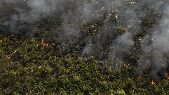 In Photos: Brazil Forest Fire