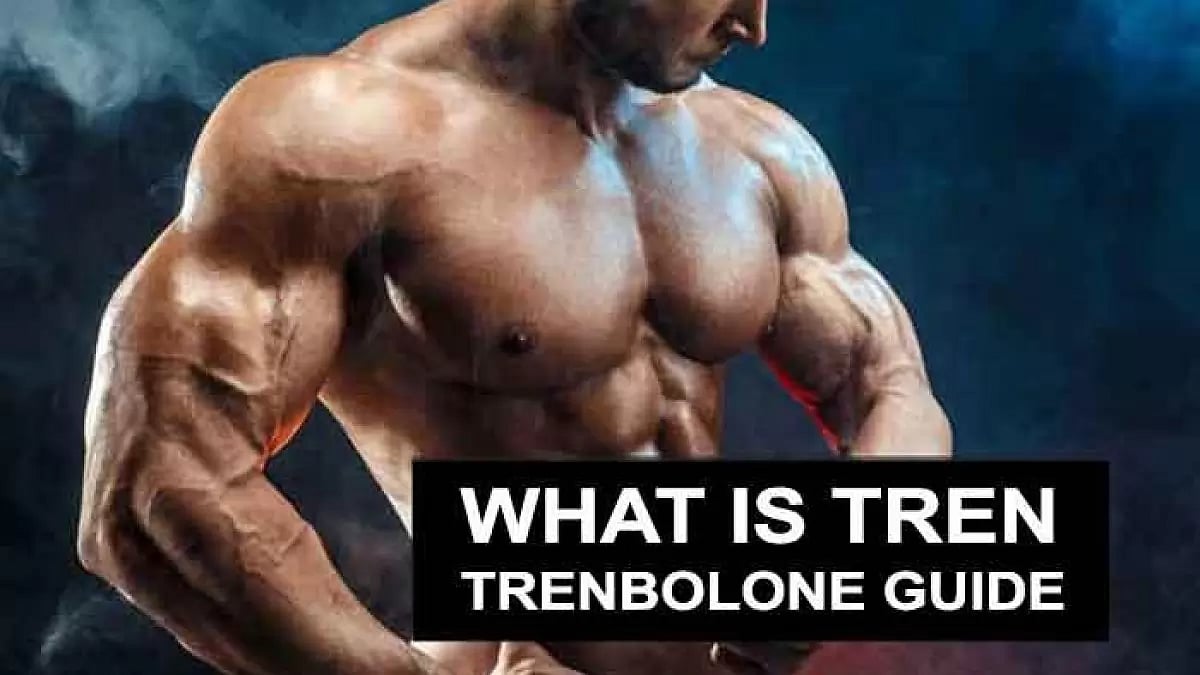 What is Tren Trenbolone Guide