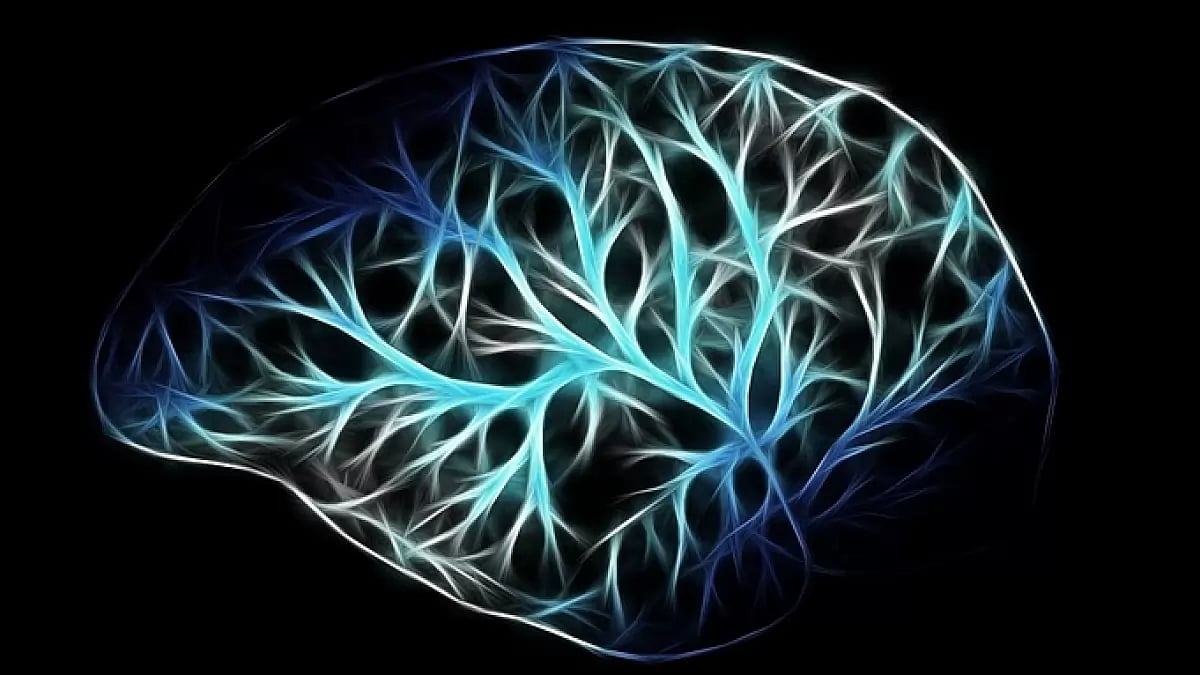 Best Brain Supplements