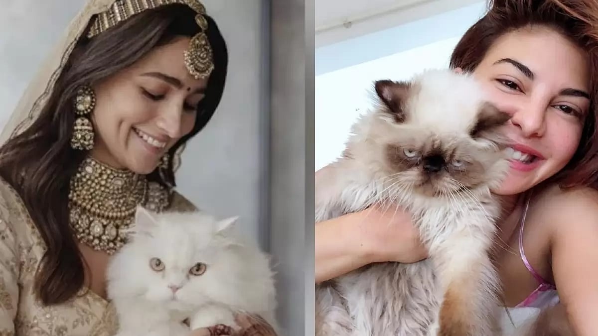 Alia Bhatt, Jacqueline Fernandez