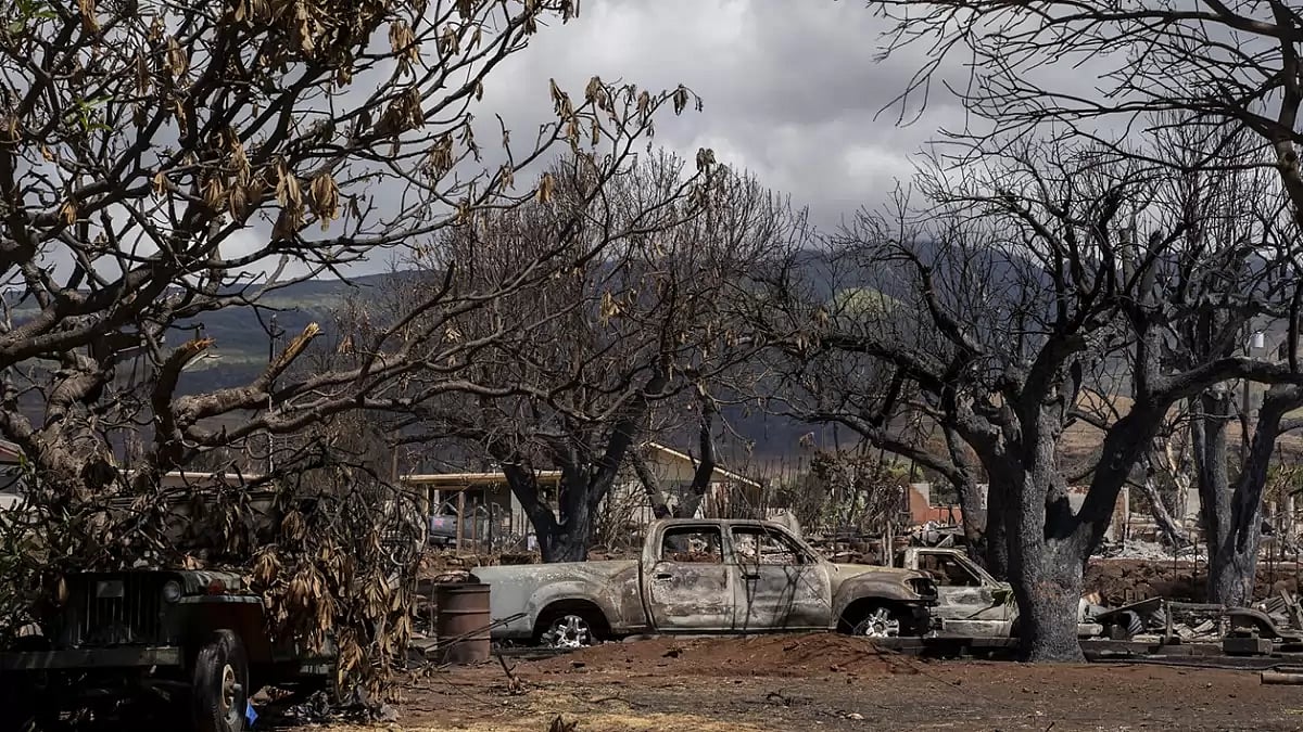 Hawaii Wildfire-Going Home