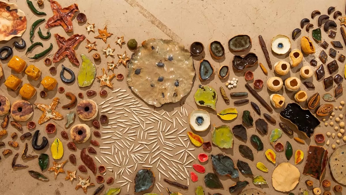 Rajyashri Goody's installation, Picnic. - null