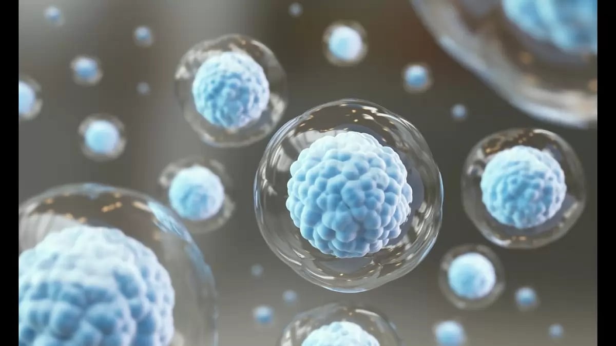 Biology Paper Writing Services