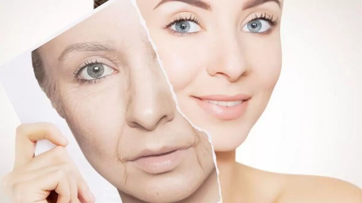 Best NMN Supplements