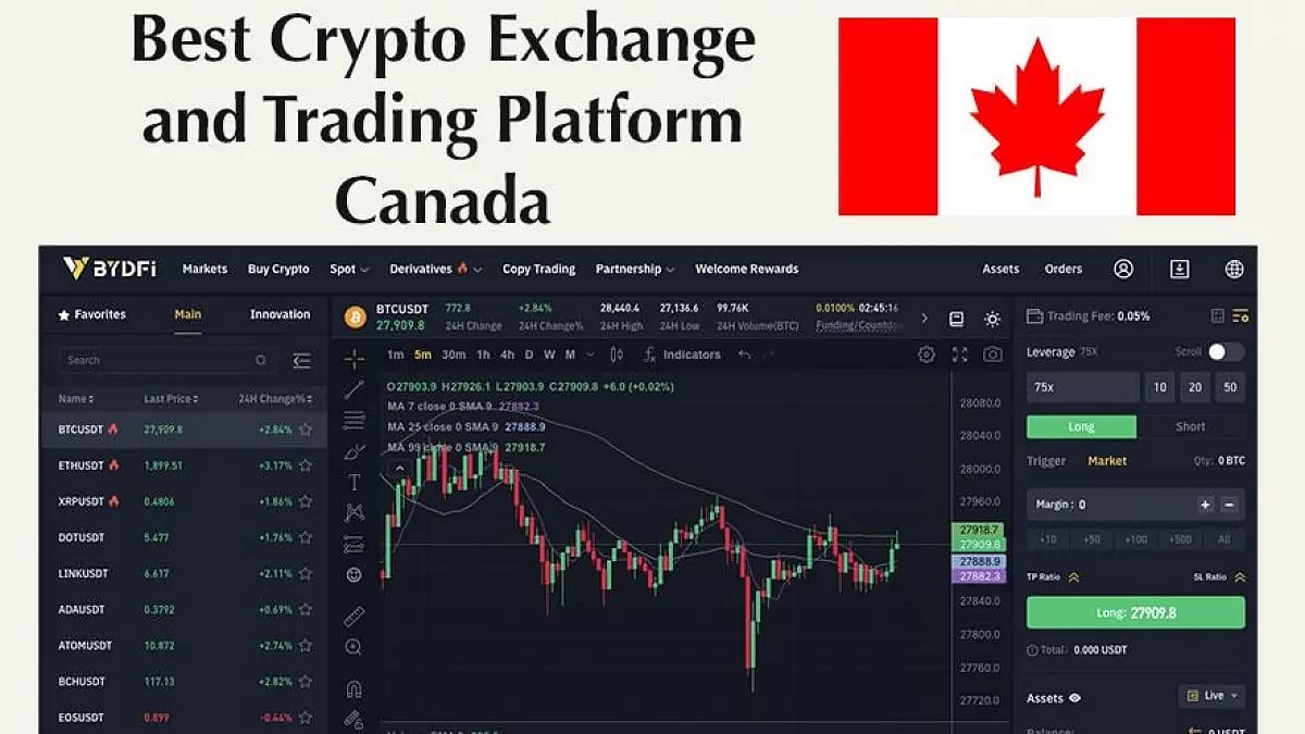 Best Crypto Exchanges And Trading Platforms Canada